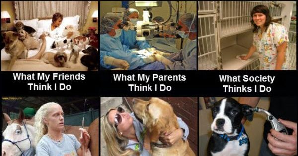 Vet Tech - Funny Pictures