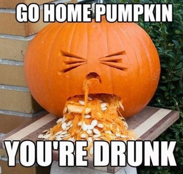 Go Home Pumpkin You’re Drunk – Funny Pictures
