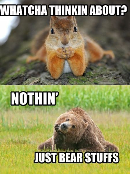 Whatcha Thinkin About? - funnypictures.me