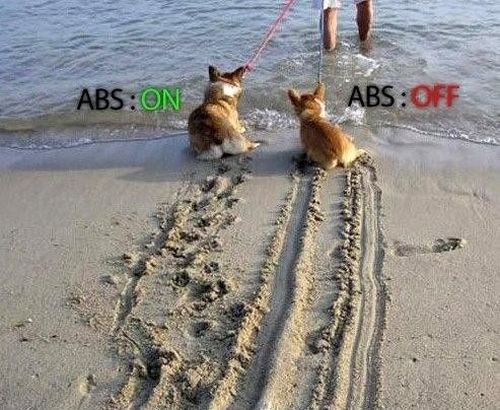 ABS Brakes - funnypictures.me