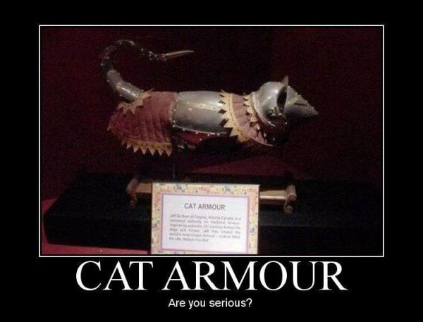 Cat Armour - funnypictures.me