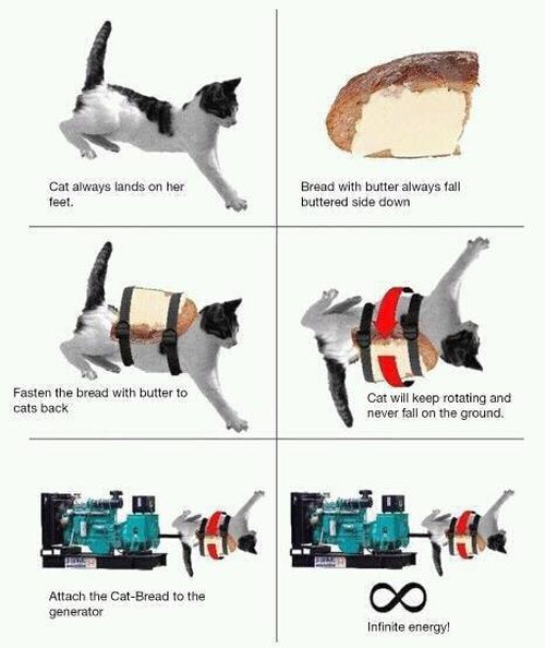 Cat Infinite Energy - Funny pictures