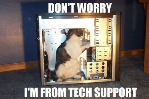 Cat Tech Support - funnypictures.me