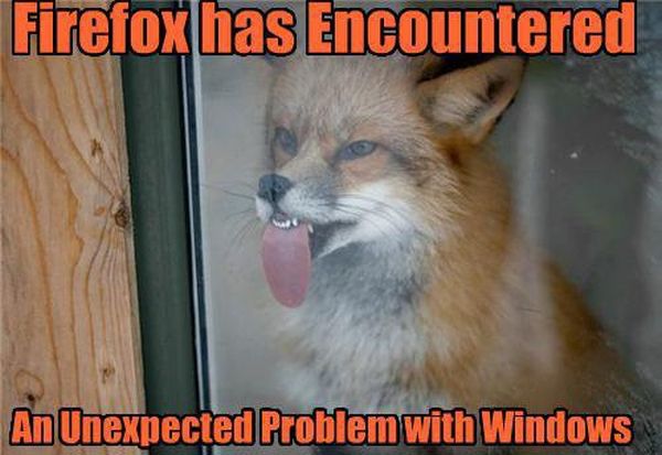 Firefox Has Encountered Problem With Windows - funnypictures.me