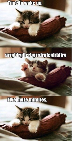 Five More Minutes - funnypictures.me