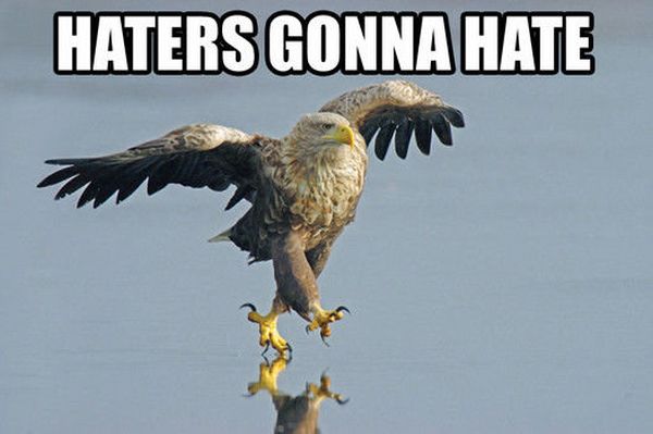 Haters Gonna Hate - funnypictures.me