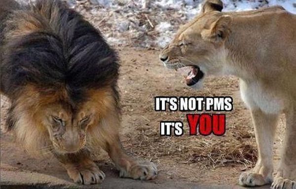 It's Not PMS! - funnypictures.me