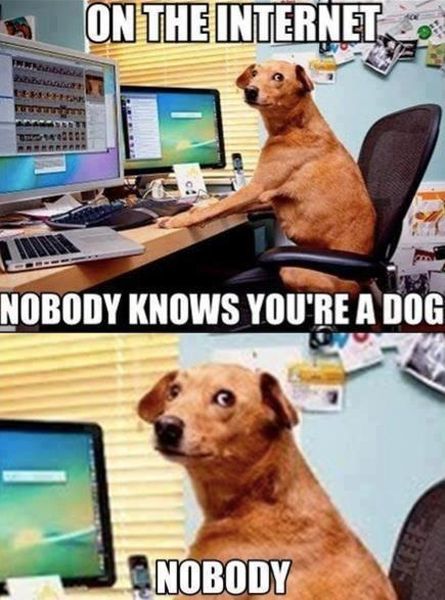 Dog On The Internet - funnypictures.me