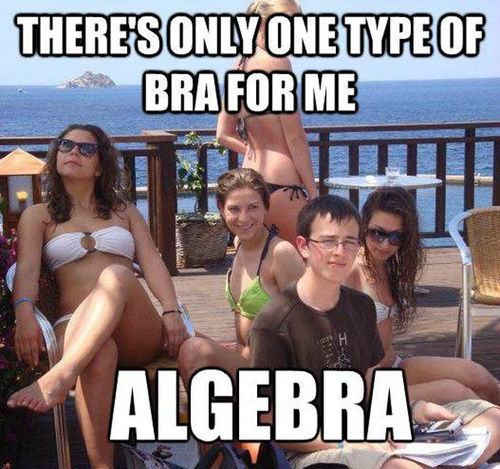 There's Only One Type Of Bra For Me - funnypictures.me