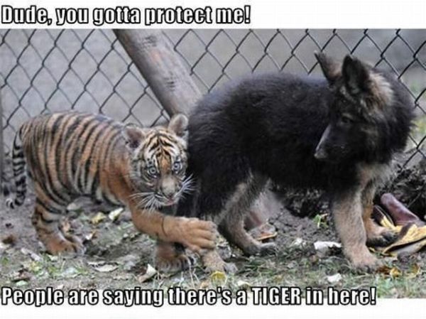 You Gotta Protect Me! - funnypictures.me