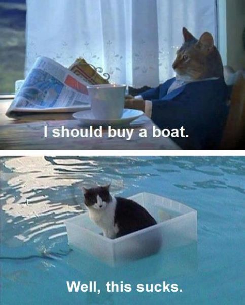 I Should Buy A Boat - funnypictures.me