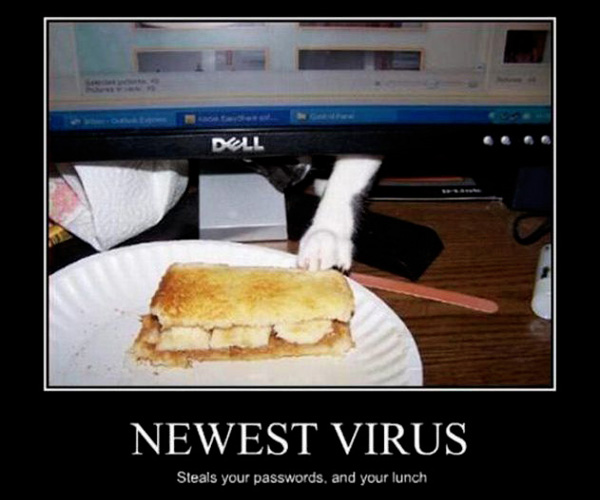 Newest virus - funnypictures.me
