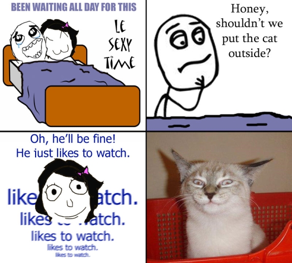He Just Likes To Watch - funnypictures.me