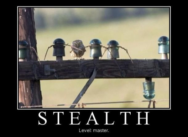Stealth - funnypictures.me