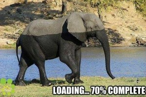 Loading... Please Wait! - Funny pictures