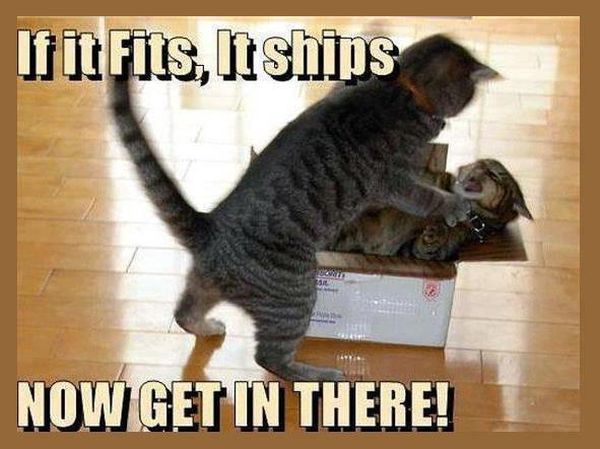 If It Fits It Ships - Funny pictures