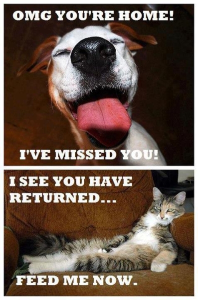 Differences - Funny pictures