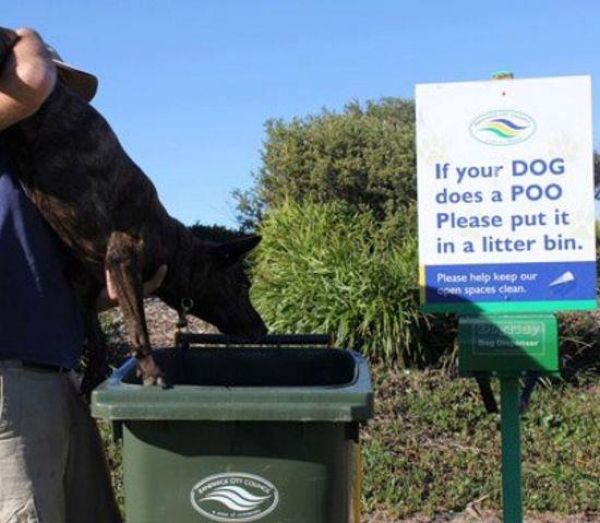 If your dog does a poo - Funny pictures