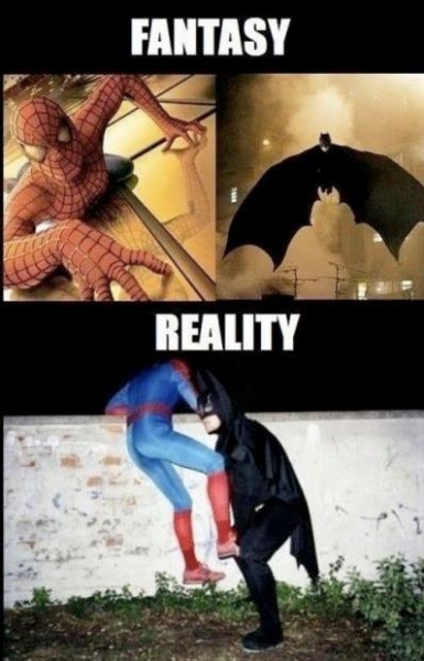 Fantasy vs reality - Funny pictures