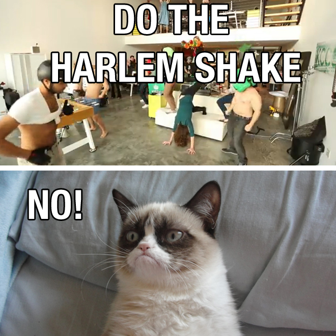 Grumpy cat hates harlem shake - Funny pictures