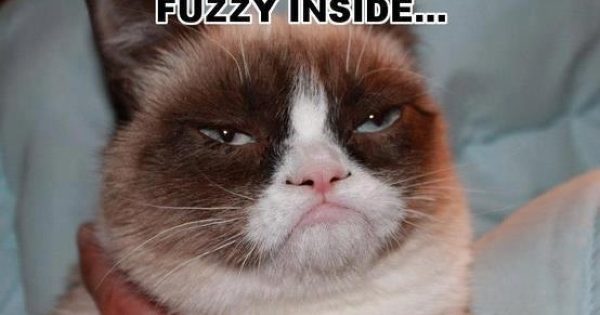 I Fell All Warm And Fuzzy - Funny Pictures