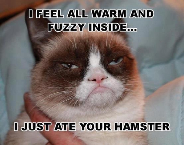 I fell all warm and fuzzy - Funny pictures