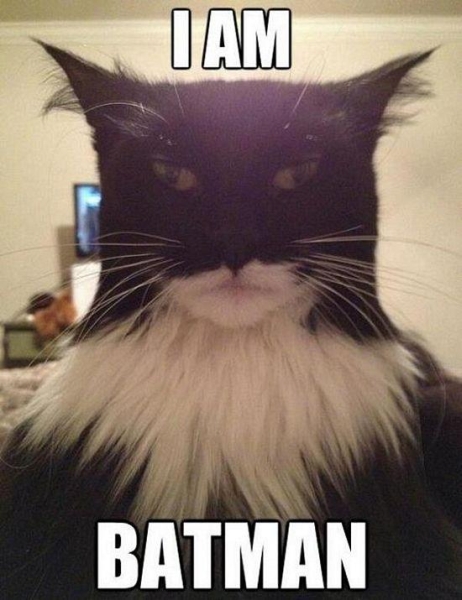 I am batman - Funny pictures