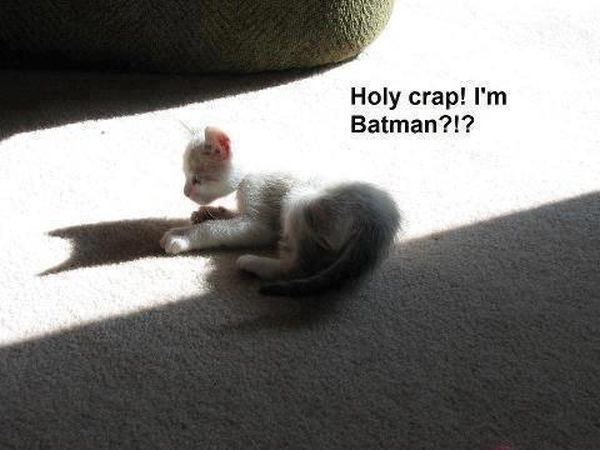 I'm batman - Funny pictures