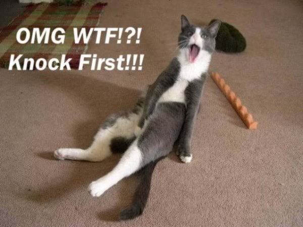 Knock first - Funny pictures