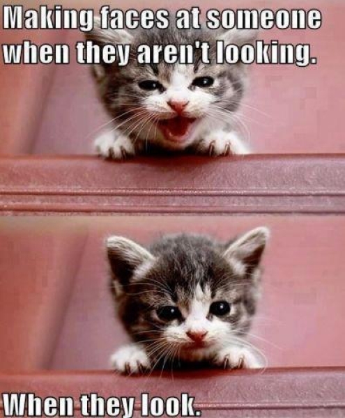 Making faces at someone - Funny pictures