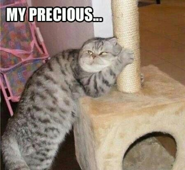 My precious - Funny pictures