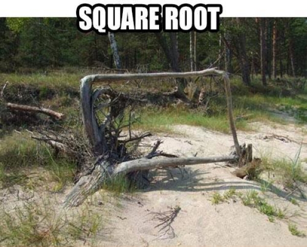 Square root - Funny pictures