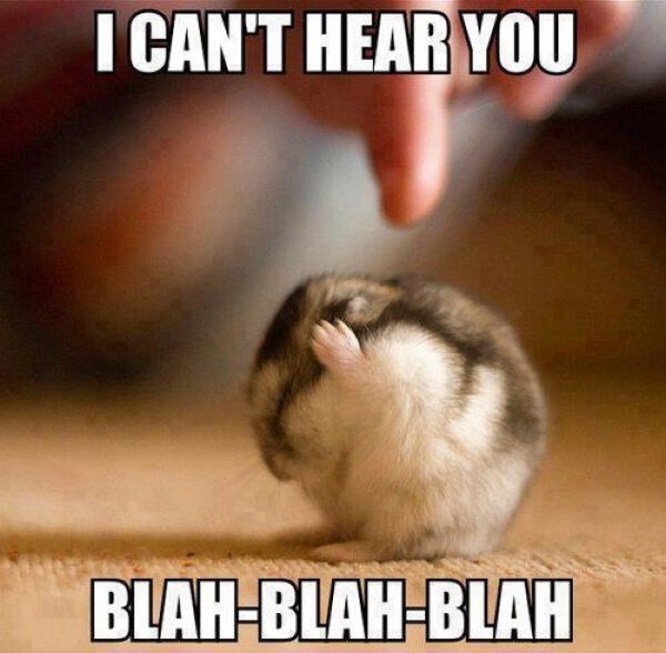 I Can’t Hear You - Funny pictures