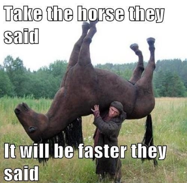 funny-pictures-take-the-horse.jpg