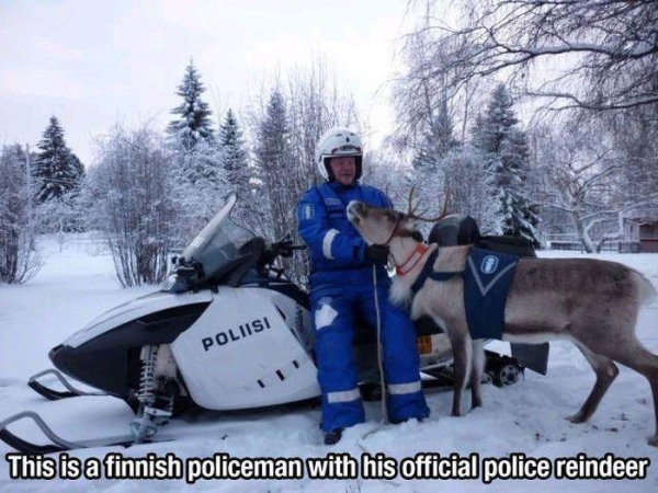 Meanwhile In Finland - Funny pictures