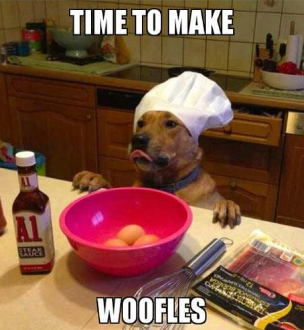 Let's Make Woofles - Funny pictures