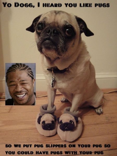 I Heard You Like Pugs - Funny pictures