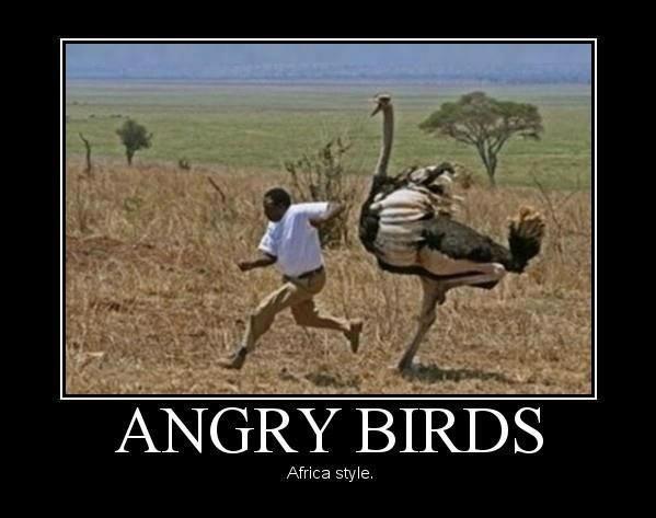 Meanwhile In Africa - Funny pictures