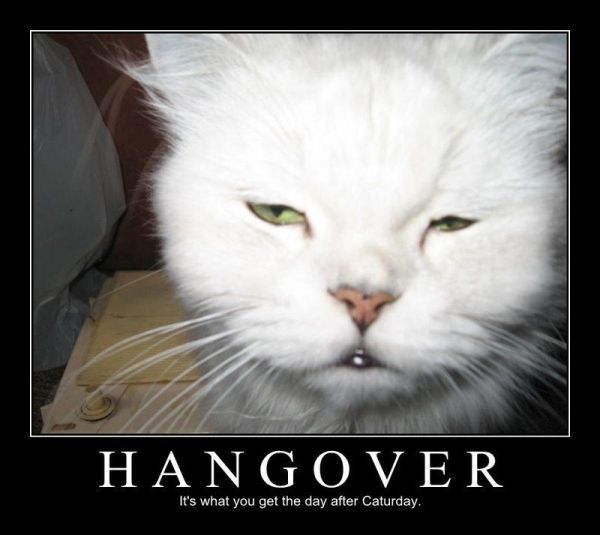 Hangover - Funny pictures