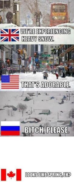 We Are Experiencing Heavy Snow - Funny pictures