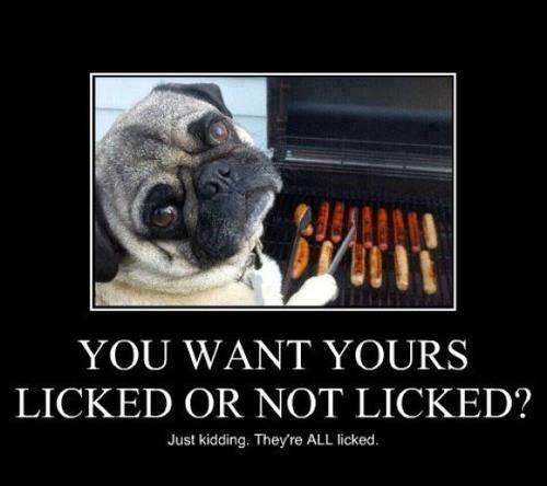 Licked Or Not Licked? - Funny pictures
