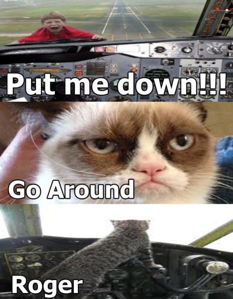 Grumpy Cat Pilot - Funny pictures