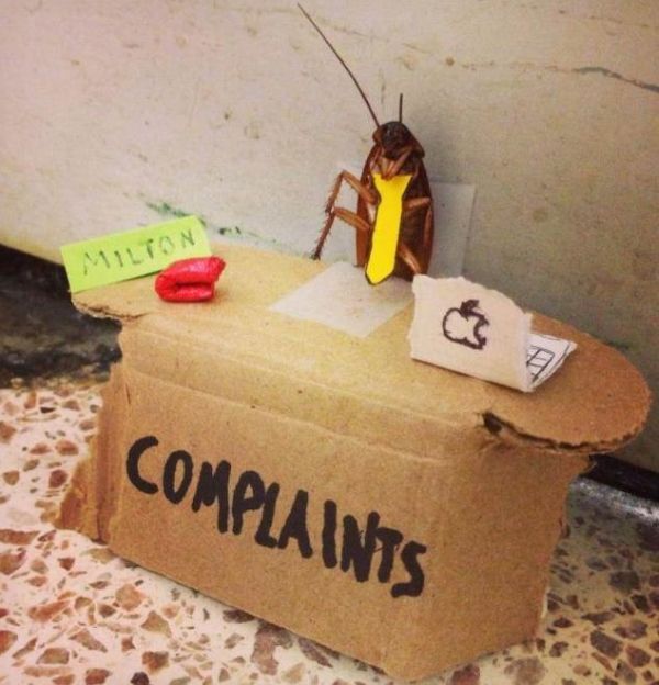 Complaints - Funny pictures