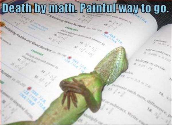 Death By Math - Funny pictures
