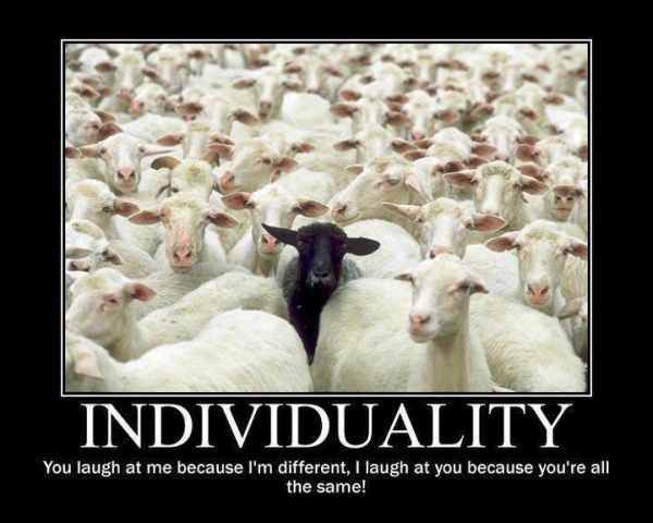 black sheep Archives - Funny Pictures