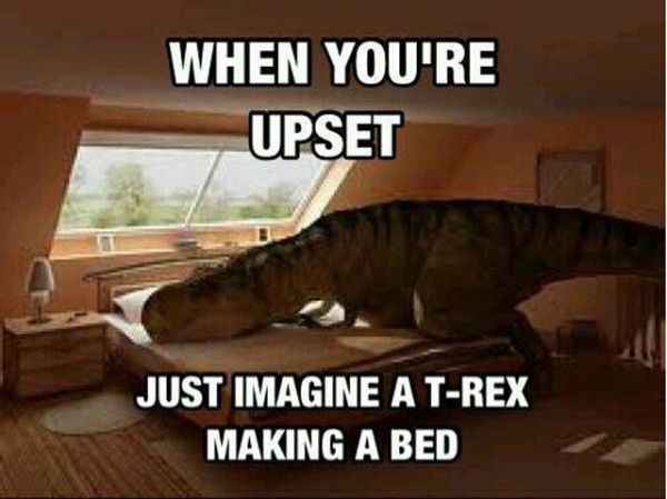 When You're Upset - Funny pictures