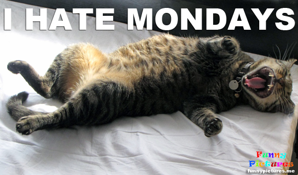 I Hate Mondays - funnypictures.me