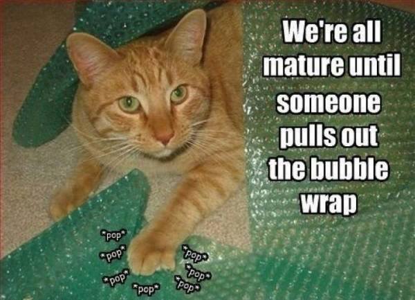 We Are All Mature Until... - Funny pictures