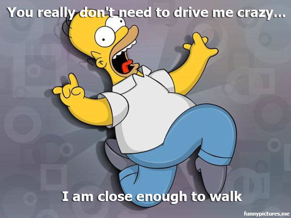 You Really Don't Need To Drive Me Crazy... - Funny pictures