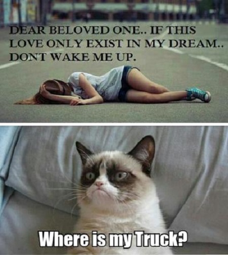 Dream Love - Funny pictures